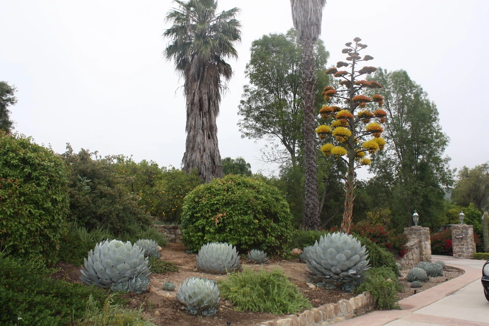 Ojai Spanish by Paul Hendershot Design, Inc. - Photo 8