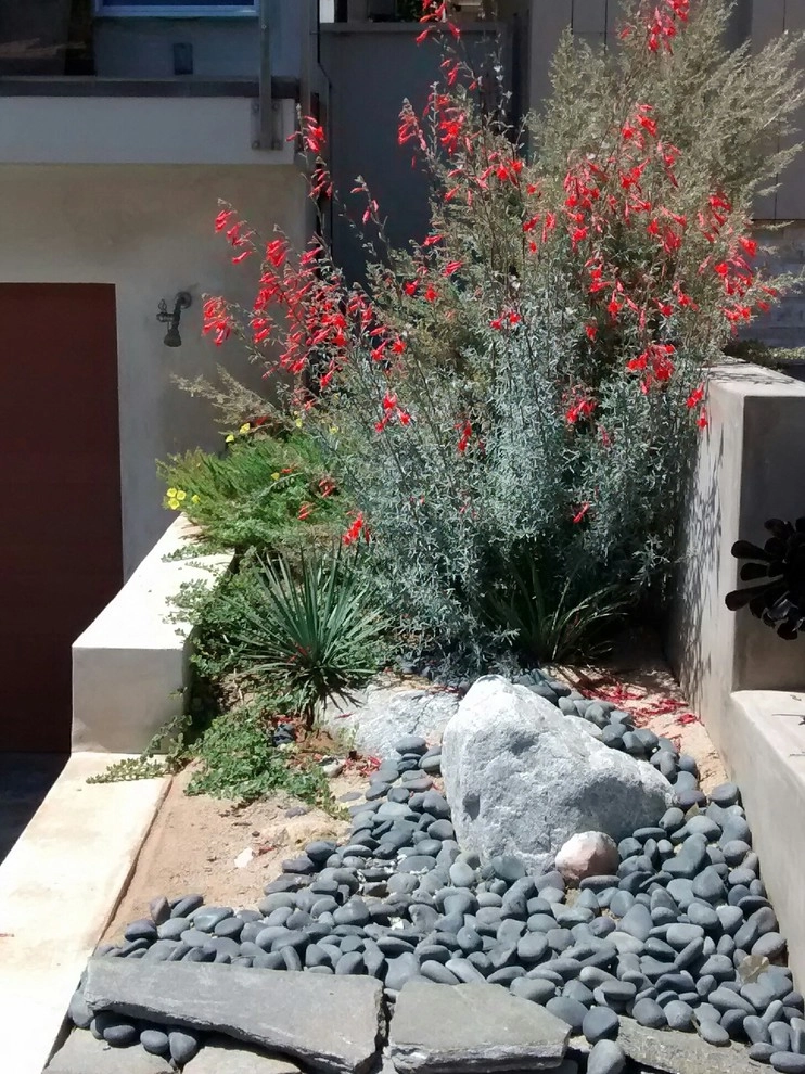 Back To Natives - Photo 4