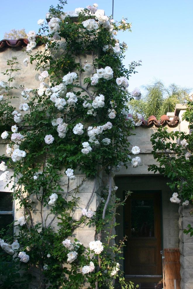 Renaissance Garden by Paul Hendershot Design, Inc. - Photo 5