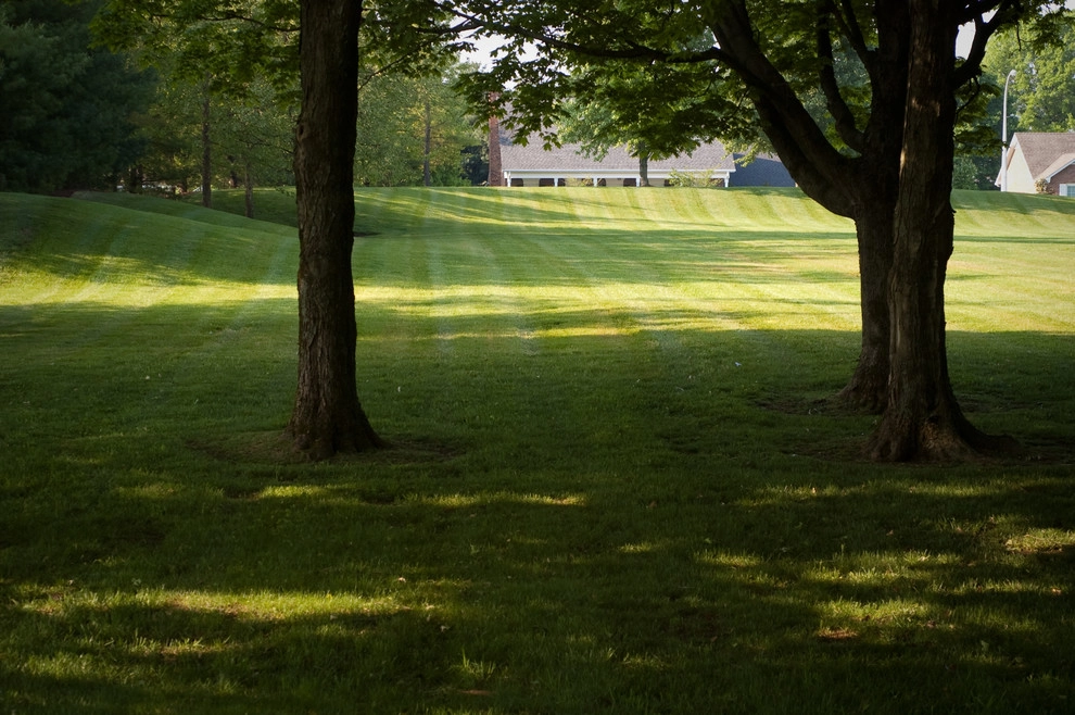 PeachTree Landscape - Photo 10