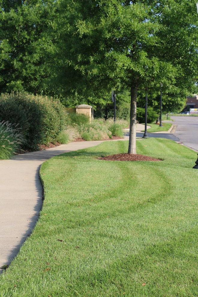 PeachTree Landscape - Photo 11