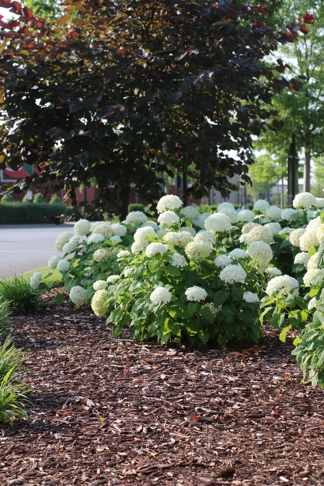PeachTree Landscape - Photo 5