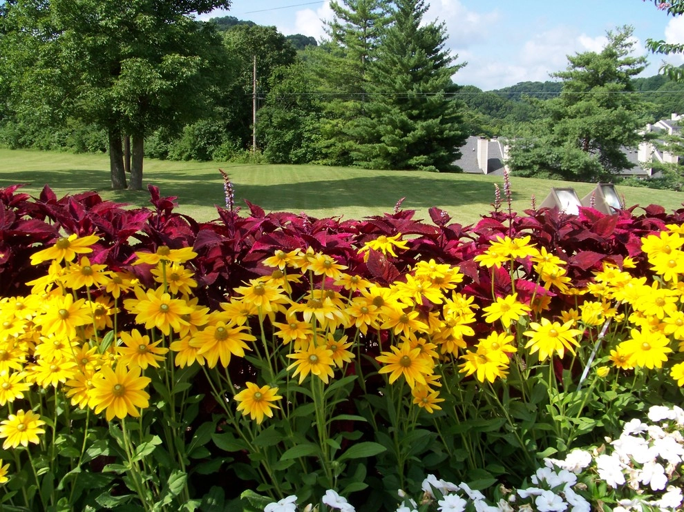 PeachTree Landscape - Photo 12