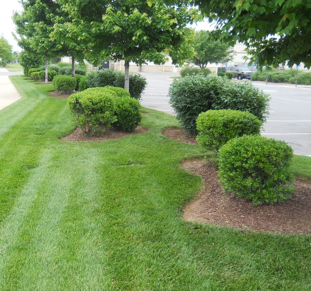 PeachTree Landscape - Photo 13