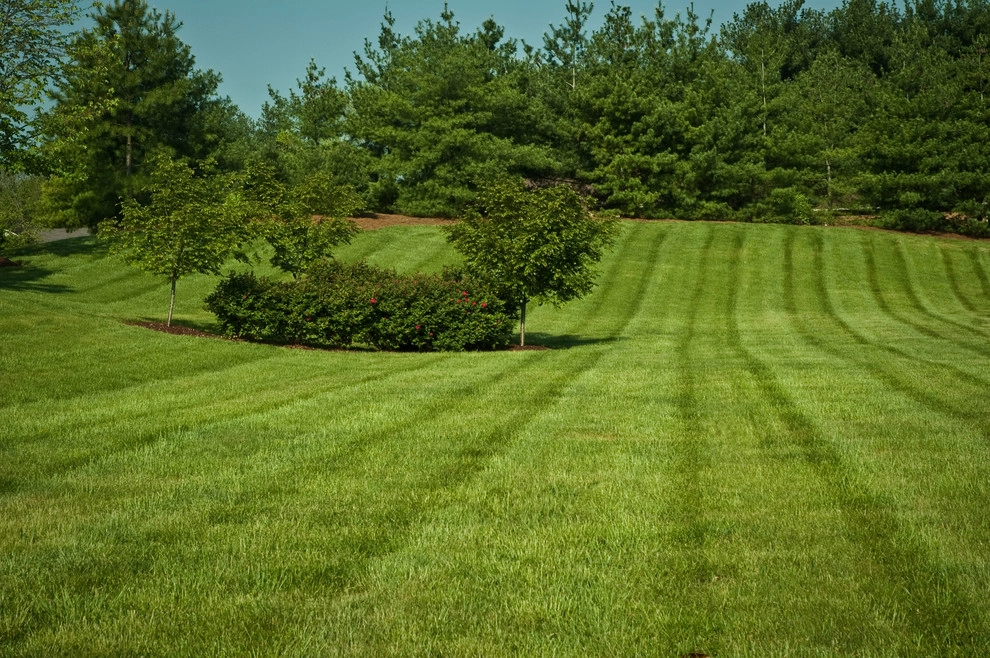PeachTree Landscape - Photo 8
