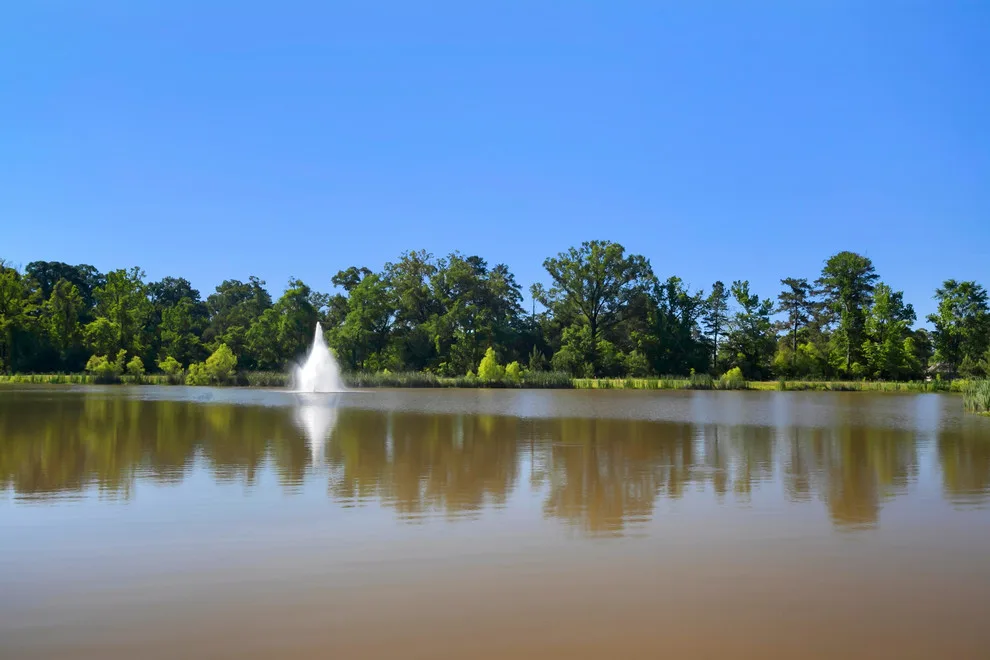Patterson Homes, LLC - Photo 12