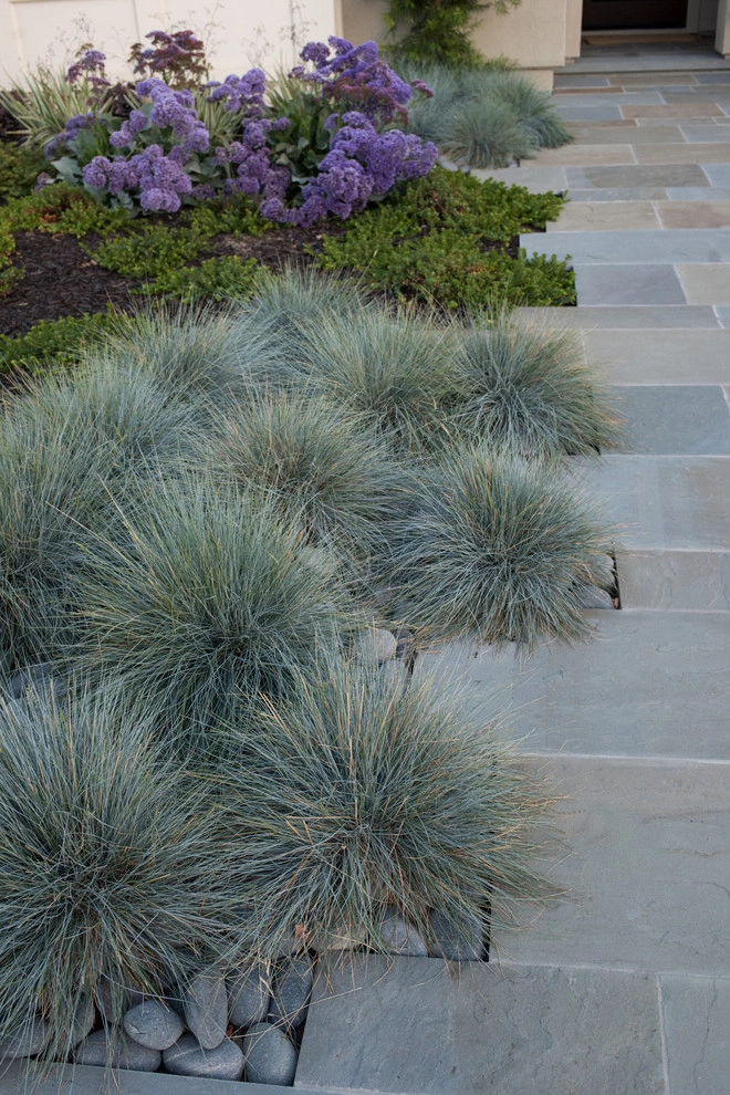 Intimate Contemporary Garden by Pedersen Associates - Photo 7