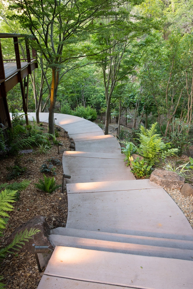 Hillside Retreat by Pedersen Associates - Photo 18