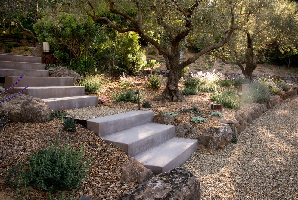 Hillside Retreat by Pedersen Associates - Photo 17
