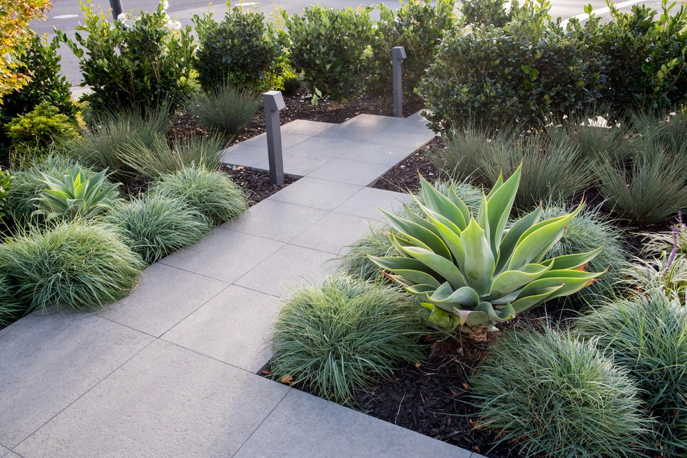 Lagoon Sculpture Garden by Pedersen Associates - Photo 5