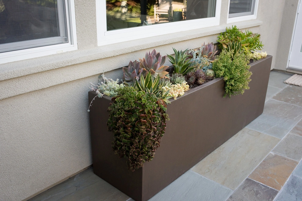Intimate Contemporary Garden by Pedersen Associates - Photo 16