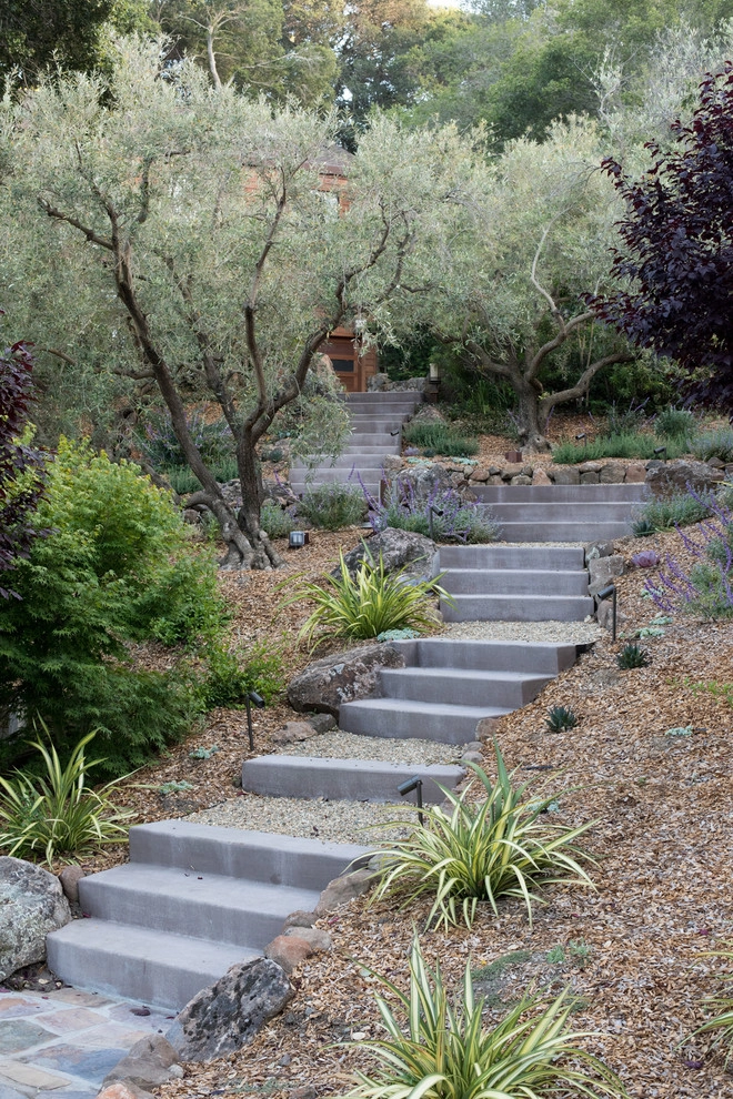 Hillside Retreat by Pedersen Associates - Photo 11