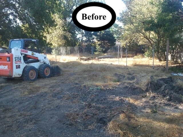 Before & After by Artisan Home Resorts - Photo 14