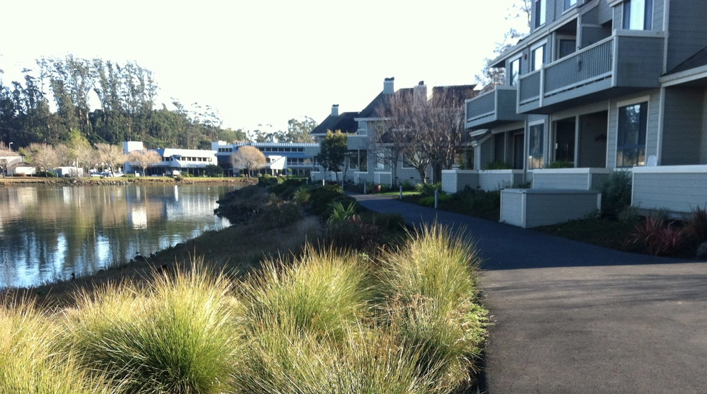 Mill Valley Housing - Shelter Point by Pedersen Associates - Photo 2