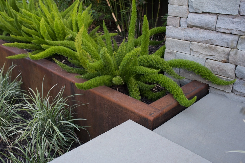 Intimate Contemporary Garden by Pedersen Associates - Photo 17