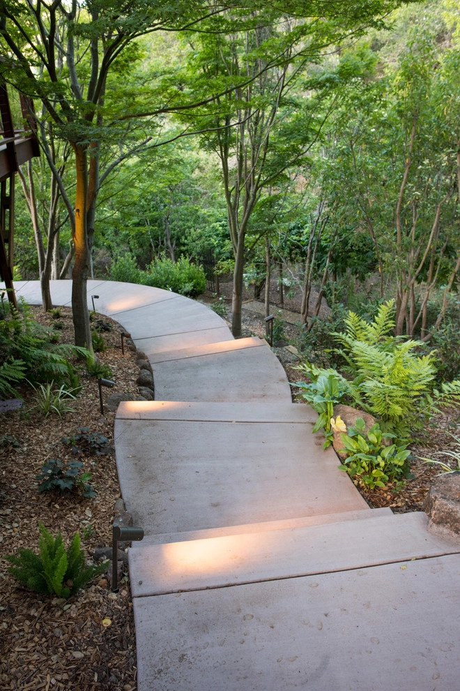 Hillside Retreat by Pedersen Associates - Photo 4