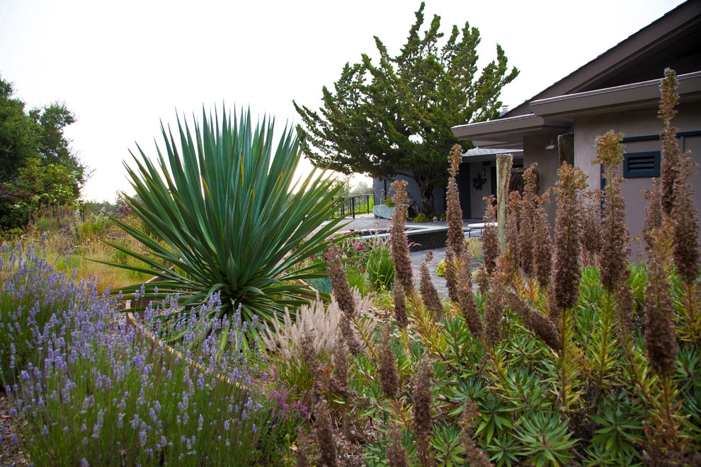 Contemporary Organic by Artisan Home Resorts - Photo 21