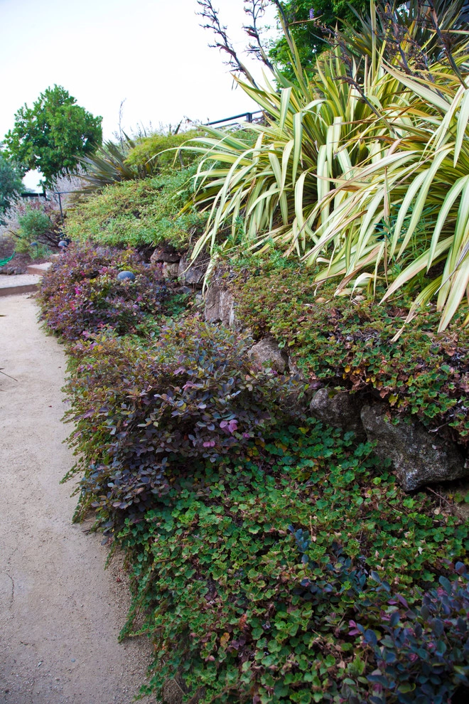 Custom Rock Formations by Artisan Home Resorts - Photo 8