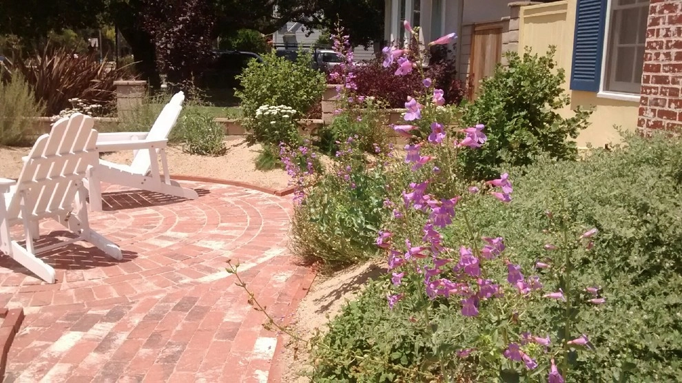 Back To Natives - Photo 3