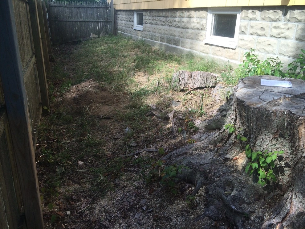 Perpetual Bloom Gardening Services, LLC - Photo 7
