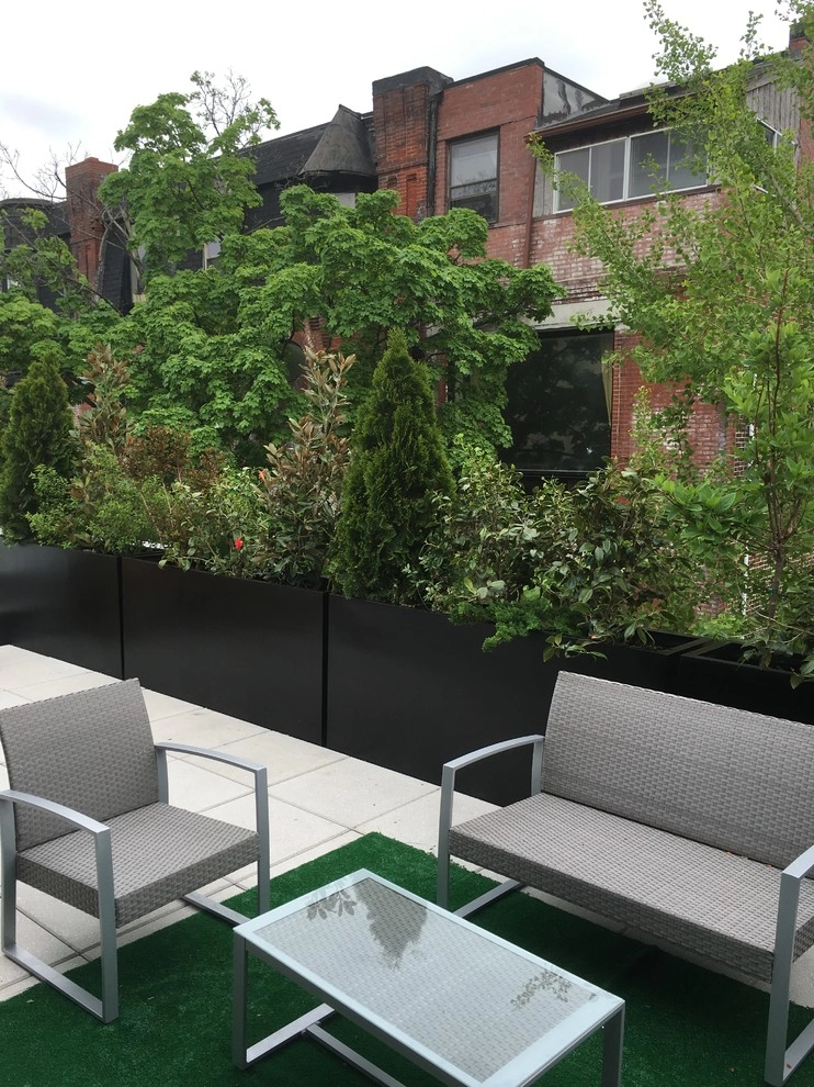 Decks design and planting by Petit Jardin En Ville - Photo 2
