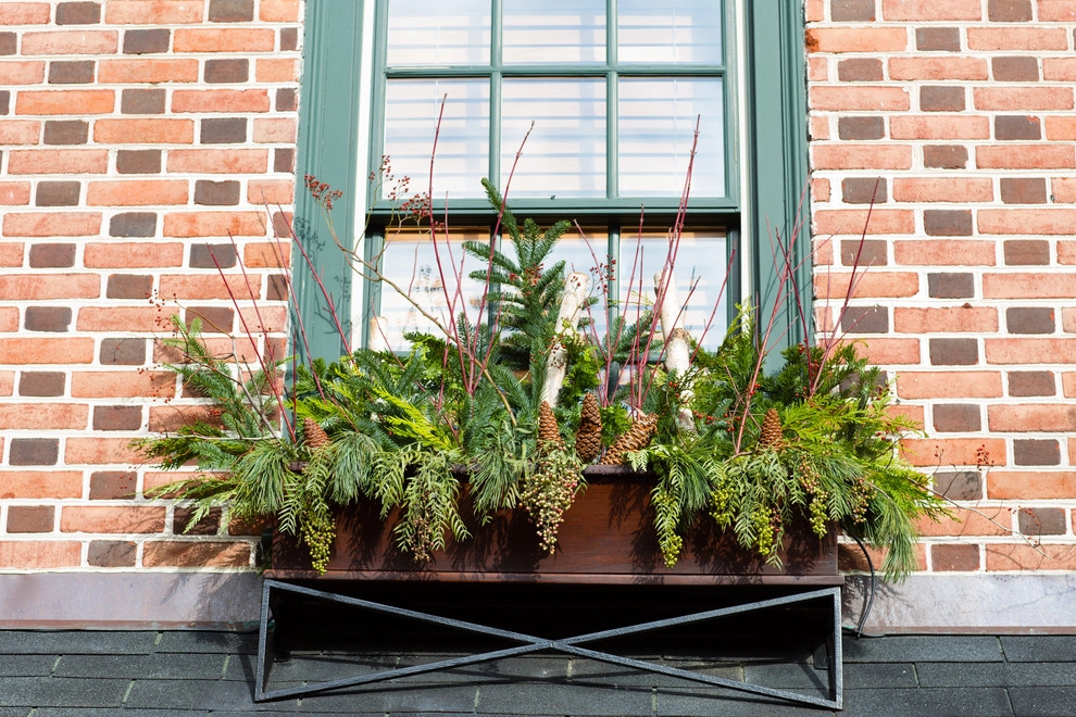 Winter plantings and window boxes by Petit Jardin En Ville - Photo 3