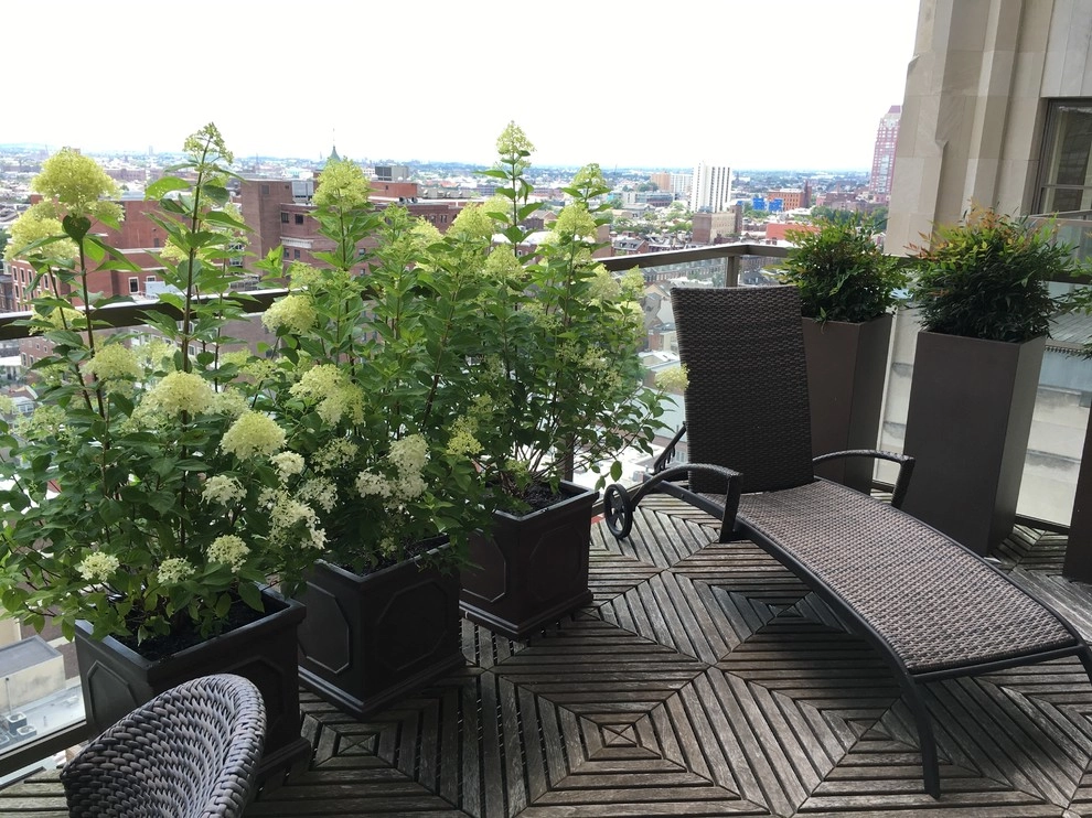 Decks design and planting by Petit Jardin En Ville - Photo 6