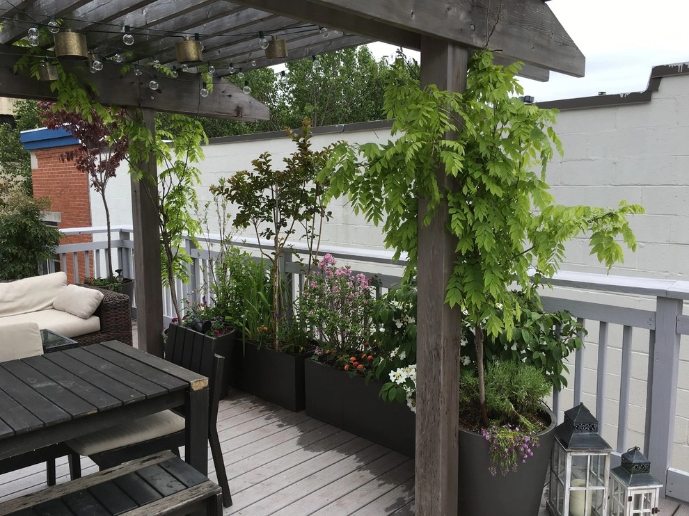 Decks design and planting by Petit Jardin En Ville - Photo 3
