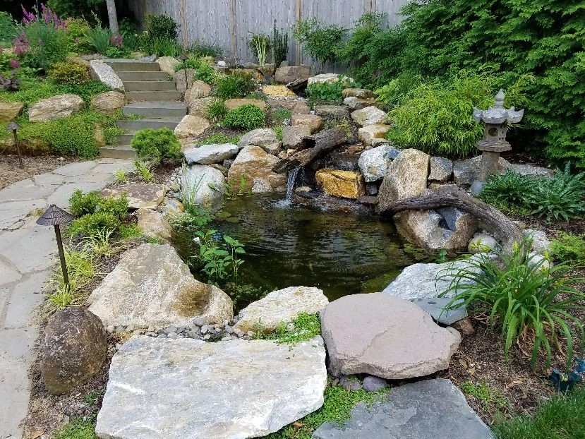 Pezzotti Brothers Landscaping & Tree Service, Inc - Photo 9