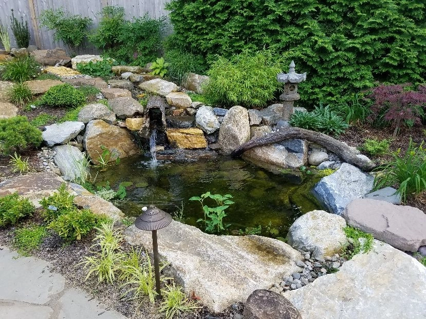 Pezzotti Brothers Landscaping & Tree Service, Inc - Photo 8