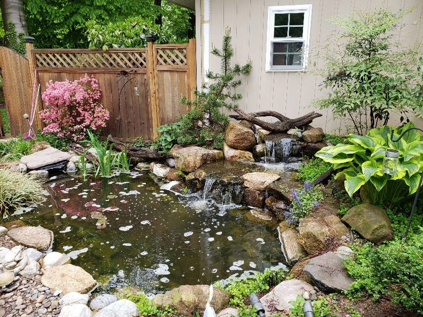 Pezzotti Brothers Landscaping & Tree Service, Inc - Photo 6