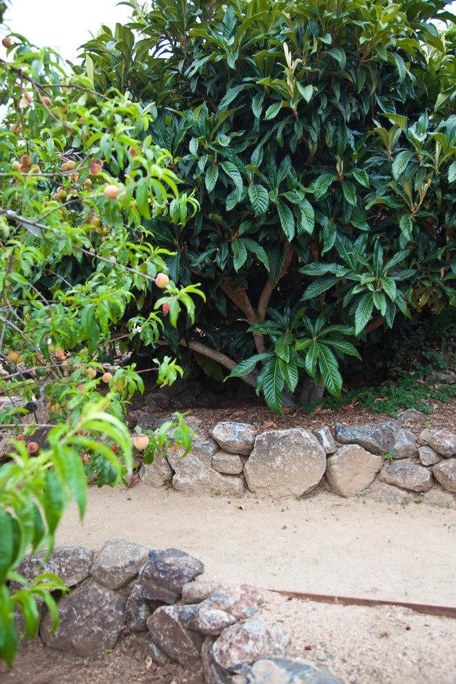 Custom Rock Formations by Artisan Home Resorts - Photo 2