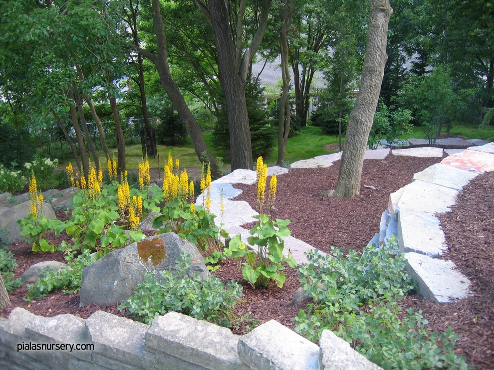 Residential Outdoor Living by Piala's Nursery & Garden Shop Inc - Photo 3
