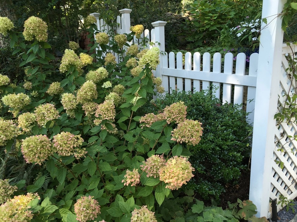Secret Garden by Pierce Hill Design, Ltd. - Photo 3