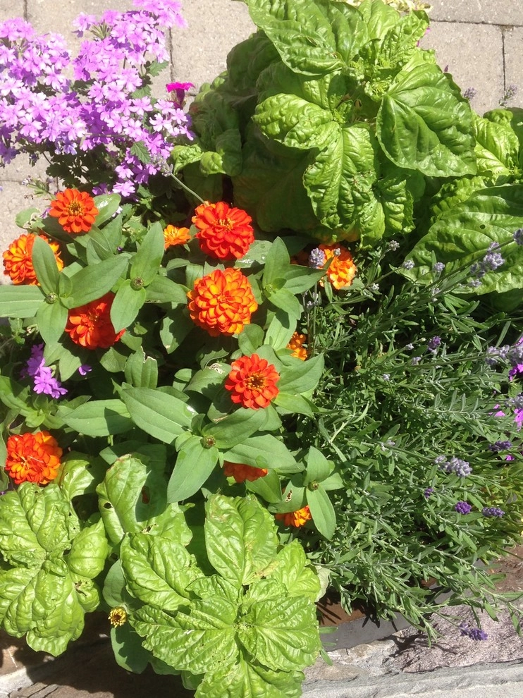 Hot color containers by Pierce Hill Design, Ltd. - Photo 4