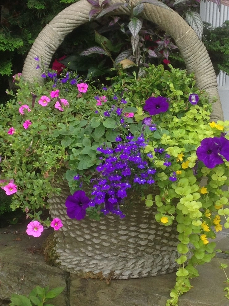 Summer containers by Pierce Hill Design, Ltd. - Photo 2