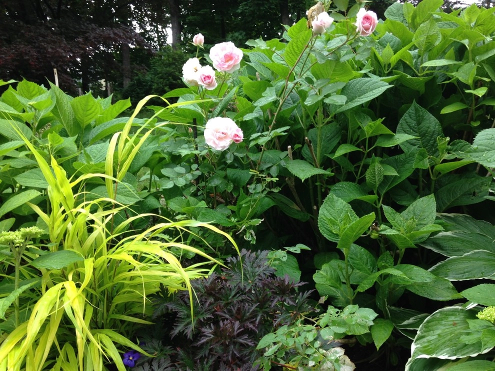 Classic Expanded Cape with Cottage Gardens by Pierce Hill Design, Ltd. - Photo 14
