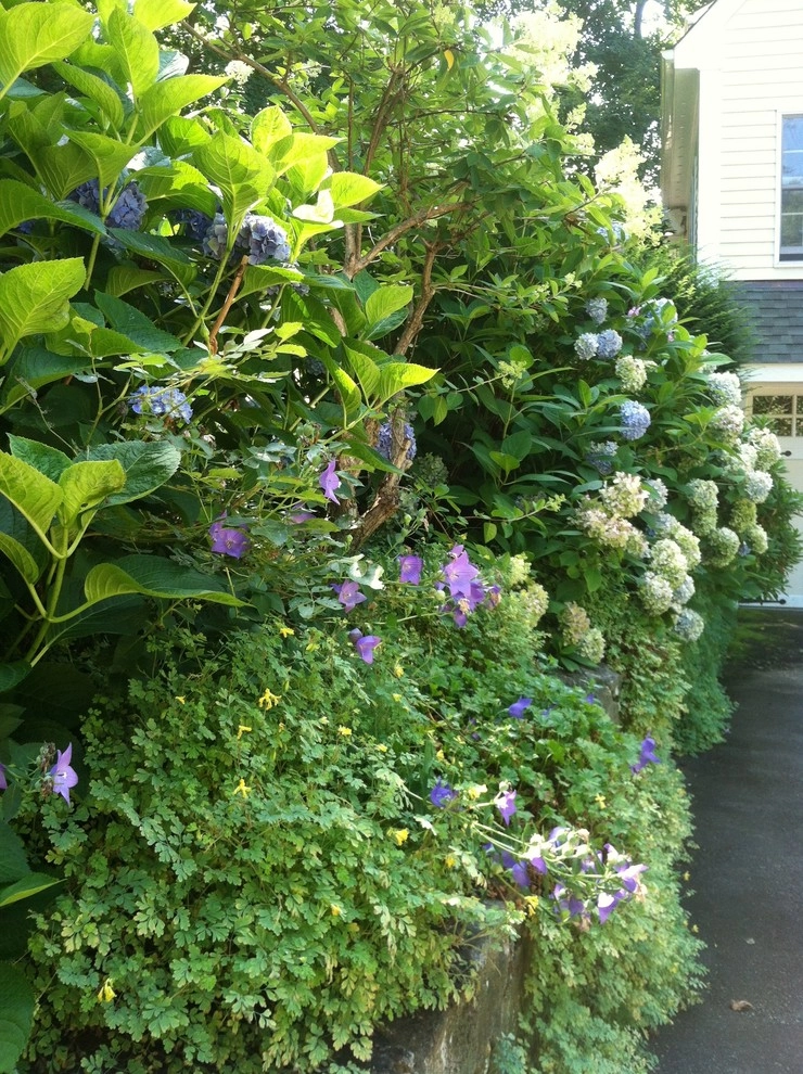 Wall Garden by Pierce Hill Design, Ltd. - Photo 4
