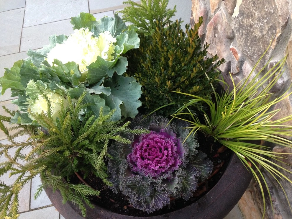 Fall and Winter containers by Pierce Hill Design, Ltd. - Photo 3