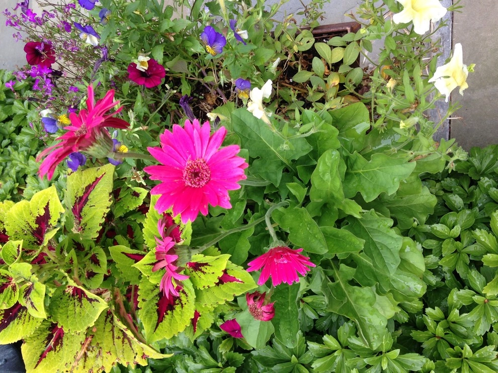 Hot color containers by Pierce Hill Design, Ltd. - Photo 3