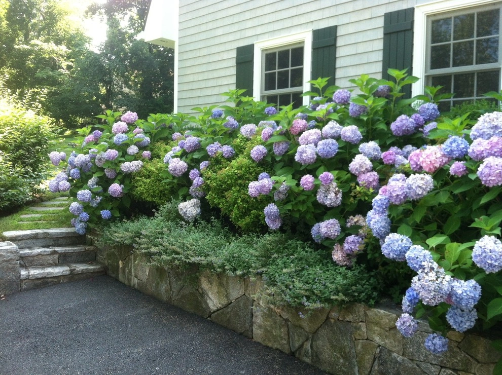Post Constructon in Chappaqua by Pierce Hill Design, Ltd. - Photo 7