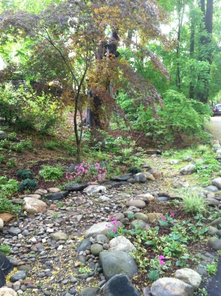 Dry Stream Garden by Pierce Hill Design, Ltd. - Photo 2