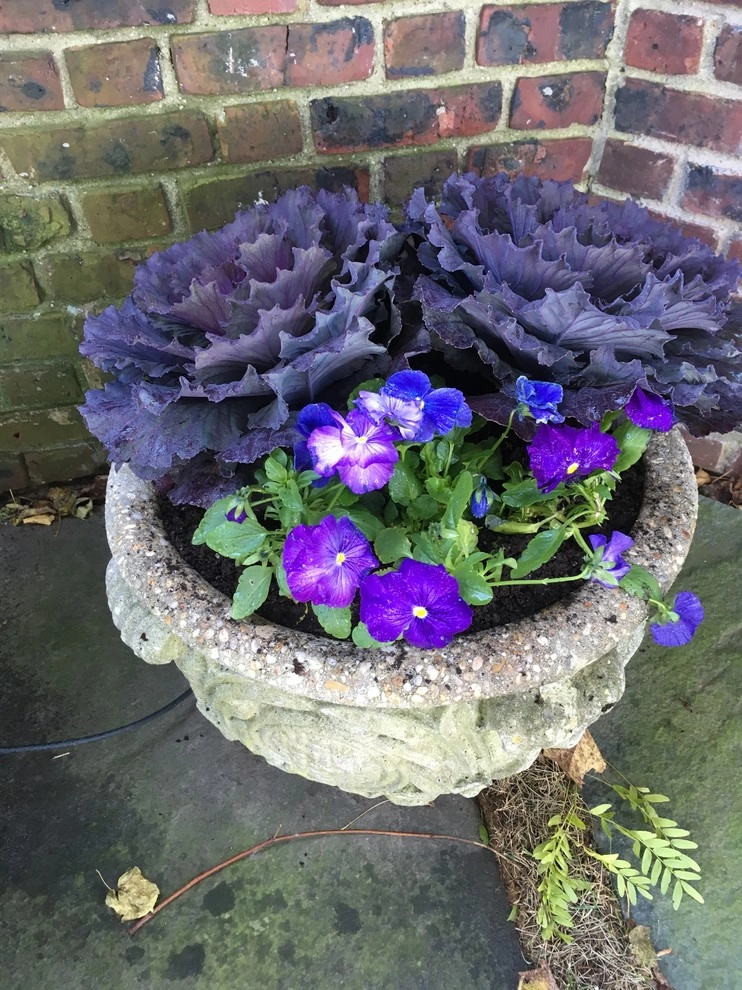 Fall and Winter containers by Pierce Hill Design, Ltd. - Photo 2