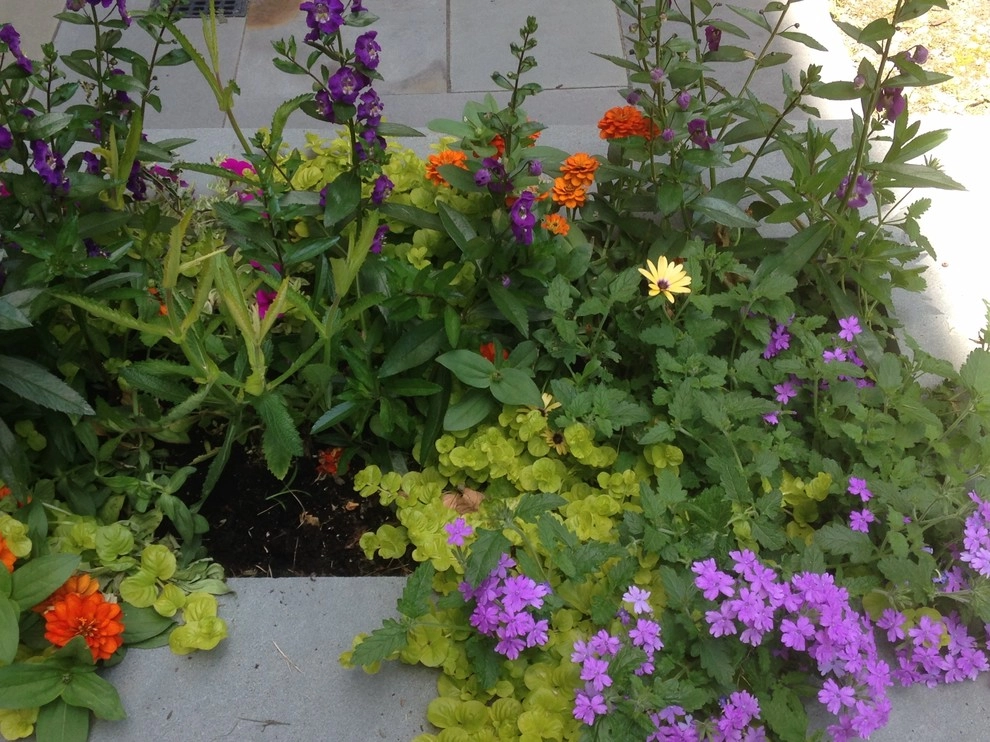 Summer containers by Pierce Hill Design, Ltd. - Photo 3