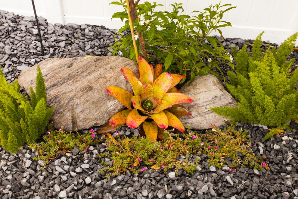 Backyard - Pool Area by Pink And Green Lawn Care And Landscape - Photo 4
