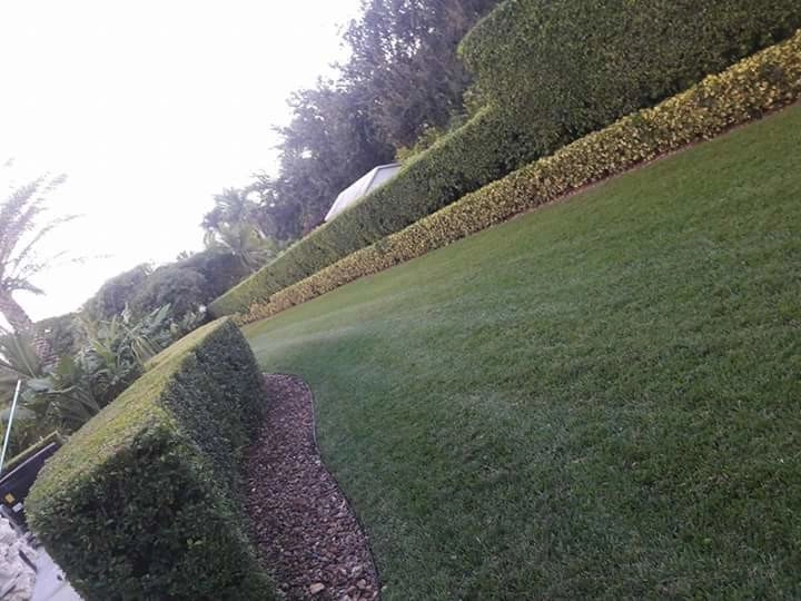 Residential Lawn Care by Pink And Green Lawn Care And Landscape - Photo 3