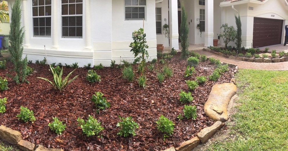 Pembroke Pines, FL Front Yard Redesign by Pink And Green Lawn Care And Landscape - Photo 2