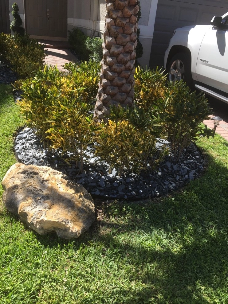 Pembroke Pines, FL Front Yard Redesign by Pink And Green Lawn Care And Landscape - Photo 4