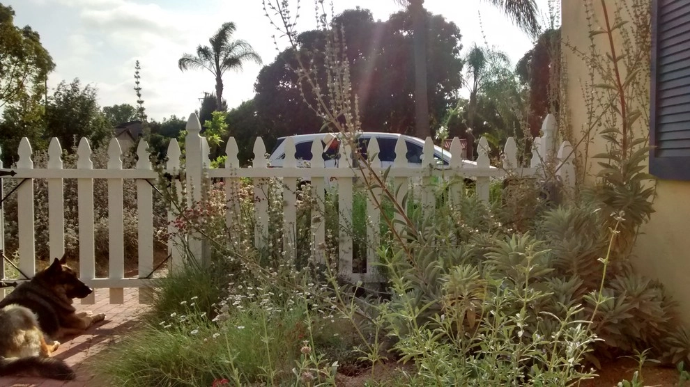 Back To Natives - Photo 5