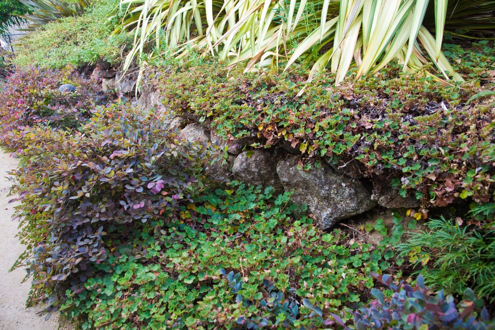 Custom Rock Formations by Artisan Home Resorts - Photo 6